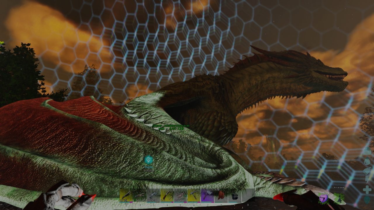 Wyvern up close